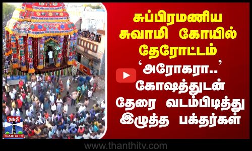 சுப்பிரமணிய சுவாமி கோயில் தேரோட்டம் - தேரை வடம்பிடித்து இழுத்த பக்தர்கள்
