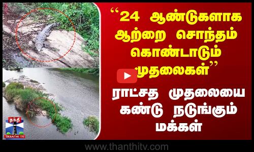 24 ஆண்டாக ஆற்றை சொந்தம் கொண்டாடும் முதலைகள் - ராட்சத முதலை.. நடுங்கும் மக்கள்