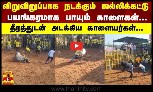 விறுவிறுப்பாக நடக்கும் ஜல்லிக்கட்டு...பயங்கரமாக பாயும் காளைகள்  - தீரத்துடன் அடக்கிய காளையர்கள்