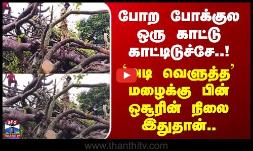 Hosur Rain போற போக்குல ஒரு காட்டு காட்டிடுச்சே..! `அடி வெளுத்த’ மழைக்கு பின் ஒசூரின் நிலை இதுதான்..