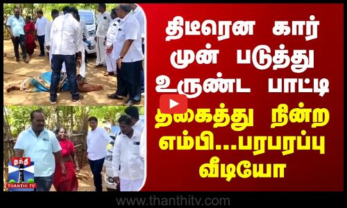 திடீரென கார் முன் படுத்து உருண்ட பாட்டி... திகைத்து நின்ற எம்பி - பரபரப்பு வீடியோ