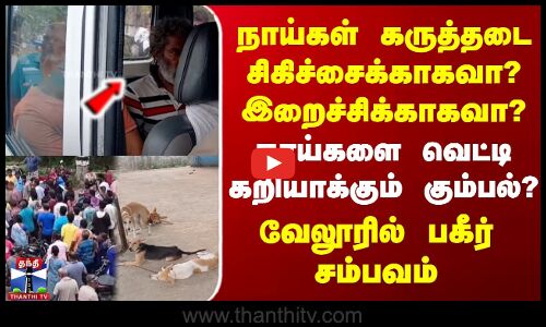 Vellore | நாய்கள் கருத்தடை சிகிச்சைக்காகவா? இறைச்சிக்காகவா? - நாய்களை வெட்டி கறியாக்கும் கும்பல்..?