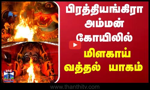 Pratyangira Amman | Krishnagiri District News | பிரத்தியங்கிரா அம்மன் கோயிலில் மிளகாய் வத்தல் யாகம்