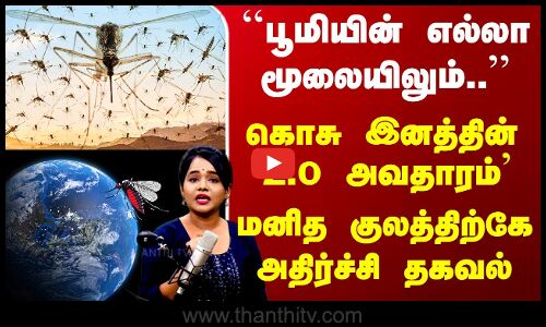 Mosquito | கொசு இனத்தின் `2.0 அவதாரம்’ -  மனித குலத்திற்கே அதிர்ச்சி தகவல்