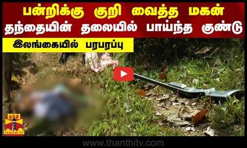 பன்றிக்கு குறி வைத்த மகன்..தந்தையின் தலையில் பாய்ந்த குண்டு - இலங்கையில் பரபரப்பு