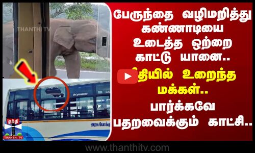 பேருந்தை வழிமறித்து கண்ணாடியை உடைத்த ஒற்றை காட்டு யானை..பதறவைக்கும் காட்சி..
