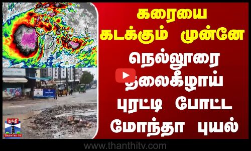 Montha Cyclone | கரையை கடக்கும் முன்னே நெல்லூரை தலைகீழாய் புரட்டி போட்ட மோந்தா புயல்