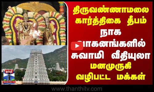 Karthigai Deepam | திருவண்ணாமலை கார்த்திகை தீபம் | நாக வாகனங்களில் சுவாமி வீதியுலா