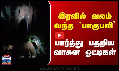 Kovai | Wild Elephant | இரவில் வலம் வந்த `பாகுபலி | பார்த்து பதறிய வாகன ஓட்டிகள்