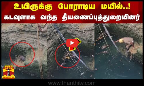 உயிருக்கு போராடிய மயில்..கடவுளாக வந்த தீயணைப்புத்துறையினர் | Thenkasi | Tamilnadu