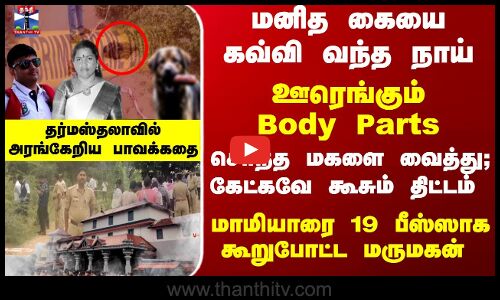 மாமியாரை 19 பீஸ்ஸாக கூறுபோட்ட மருமகன் - குலைநடுங்க வைக்கும் பின்னணி
