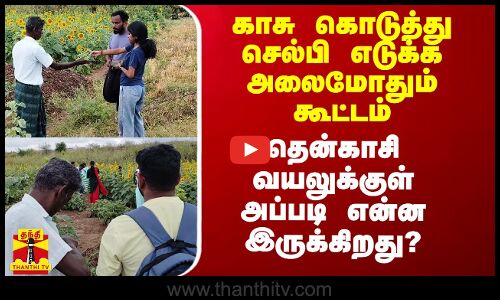 காசு கொடுத்து செல்பி எடுக்க அலைமோதும் கூட்டம்.. தென்காசி வயலுக்குள் அப்படி என்ன இருக்கிறது?