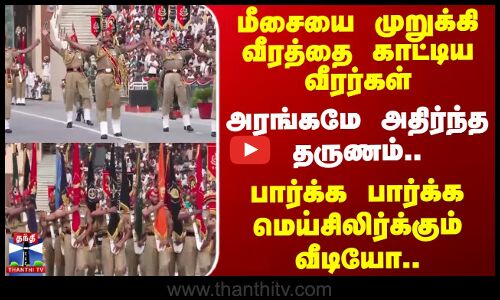 மீசையை முறுக்கி வீரத்தை காட்டிய வீரர்கள்..பார்க்க பார்க்க மெய்சிலிர்க்கும் வீடியோ..