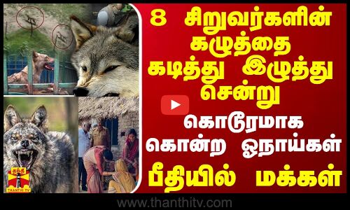 8 சிறுவர்களின் கழுத்தை கடித்து இழுத்து சென்று கொடூரமாக கொன்ற ஓநாய்கள் - பீதியில் மக்கள்