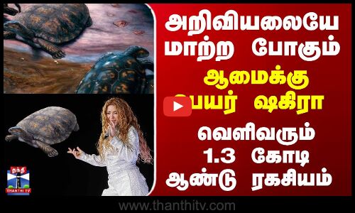 Turtle | Shakira | அறிவியலையே மாற்ற போகும்.. ஆமைக்குபெயர் ஷகிரா - வெளிவரும்1.3 கோடிஆண்டு ரகசியம்