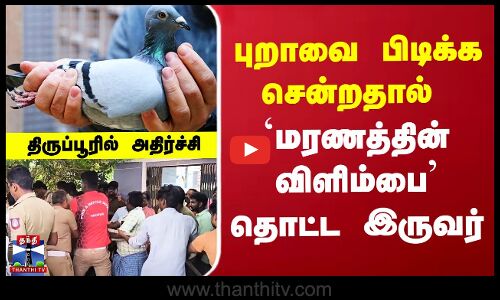 Tiruppur | Pigeon | புறாவை பிடிக்க சென்றதால் `மரணத்தின் விளிம்பை’ தொட்ட இருவர்