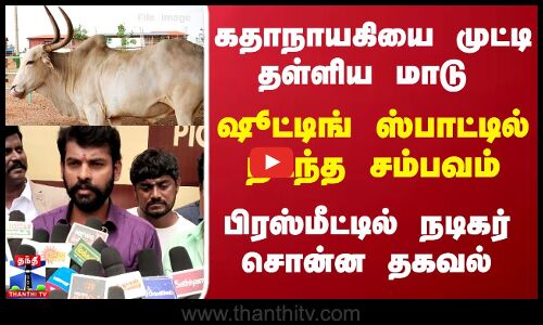 கதாநாயகியை முட்டி தள்ளிய மாடு...பிரஸ்மீட்டில் நடிகர் சொன்ன தகவல்