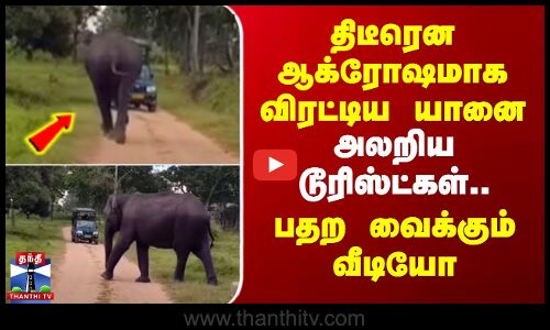 Karnataka | Elephant | திடீரென ஆக்ரோஷமாக விரட்டிய யானை.. அலறிய டூரிஸ்ட்கள் - பதற வைக்கும் வீடியோ