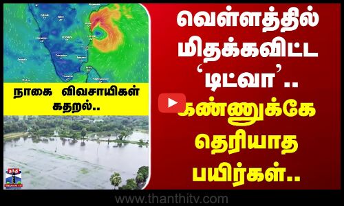 Ditwah cyclone | Nagapattinam | வெள்ளத்தில் மிதக்கவிட்ட `டிட்வா.. கண்ணுக்கே தெரியாத பயிர்கள்..