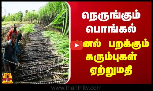 நெருங்கும் பொங்கல்... அனல் பறக்கும் கரும்புகள் ஏற்றுமதி