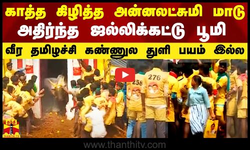 காத்த கிழித்து வந்த அன்னலட்சுமி மாடு.. அதிர்ந்த ஜல்லிக்கட்டு பூமி - தமிழச்சி கண்ணுல துளி பயம் இல்ல