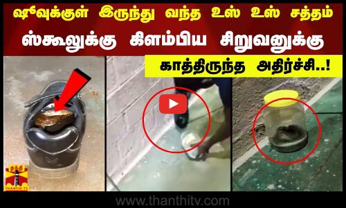 ஷூவுக்குள் இருந்து வந்த உஸ் உஸ் சத்தம். ஸ்கூலுக்கு கிளம்பிய சிறுவனுக்கு காத்திருந்த அதிர்ச்சி..!