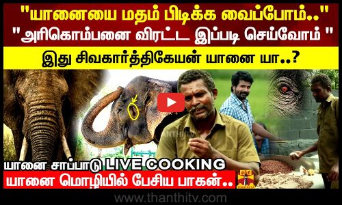இது சிவகார்த்திகேயன் யானையா..? யானை மொழியில் பேசிய பாகன்.. | Elephant