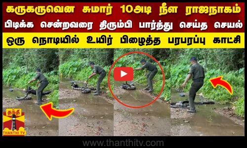 கருகருவென சுமார் 10அடி நீள ராஜநாகம்பிடிக்க சென்றவரை திரும்பி பார்த்து செய்த செயல்..| Kerala