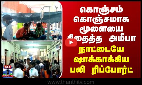 Amoeba | கொஞ்சம் கொஞ்சமாக மூளையை சிதைத்த அமீபா... நாட்டையே ஷாக்காக்கிய பலி ரிப்போர்ட்