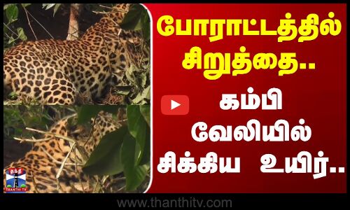 Nilgiri forest | போராட்டத்தில் சிறுத்தை..கம்பி வேலியில் சிக்கிய உயிர்