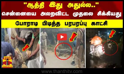 ஆத்தி இது அதுல்ல.. சென்னையை அலறவிட்ட முதலை சிக்கியது - போராடி பிடித்த பரபரப்பு காட்சி