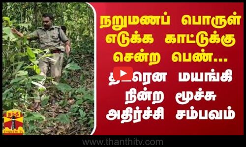 நறுமணப் பொருள் எடுக்க காட்டுக்கு சென்ற பெண்... திடீரென மயங்கி நின்ற மூச்சு - அதிர்ச்சி சம்பவம்