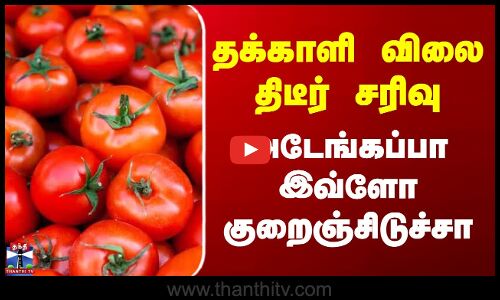 தக்காளி விலை திடீர் சரிவு - அடேங்கப்பா இவ்ளோ குறைஞ்சிடுச்சா