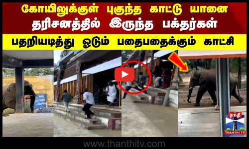 கோயிலுக்குள் புகுந்த காட்டு யானை தரிசனத்தில் இருந்த பக்தர்கள்பதறியடித்து ஓடும் காட்சி