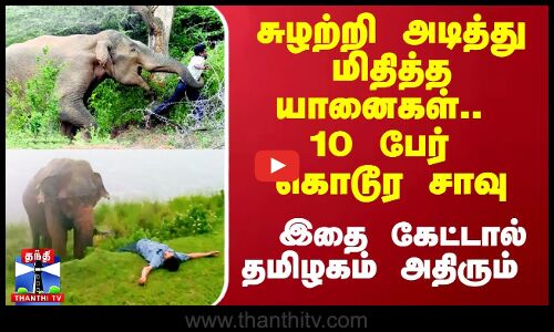 சுழற்றி அடித்து மிதித்த யானைகள்.. 10 பேர் கொடூர சாவு.. இதை கேட்டால் தமிழகம் அதிரும்
