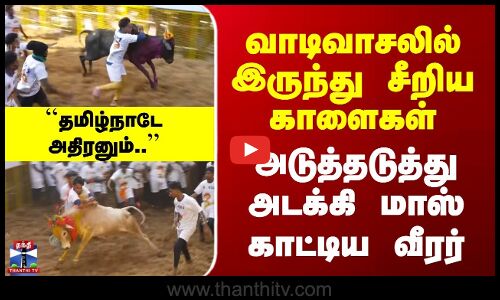 வாடிவாசலில் இருந்து சீறிய காளைகள் | அடுத்தடுத்து அடக்கி மாஸ் காட்டிய வீரர்
