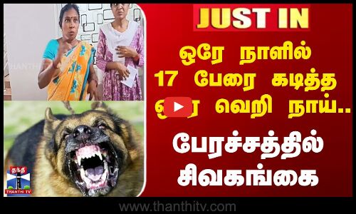 ஒரே நாளில் 17 பேரை கடித்த வெறி நாய் - பேரச்சத்தில் சிவகங்கை