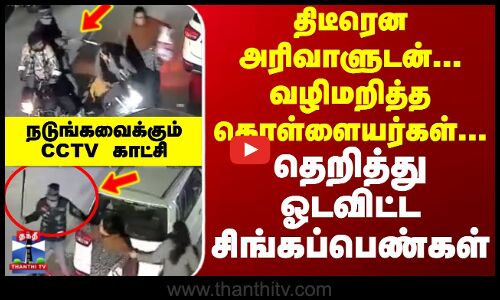 திடீரென அரிவாளுடன் வழிமறித்த கொள்ளையர்கள் - தெறித்து ஓடவிட்ட சிங்கப்பெண்கள்