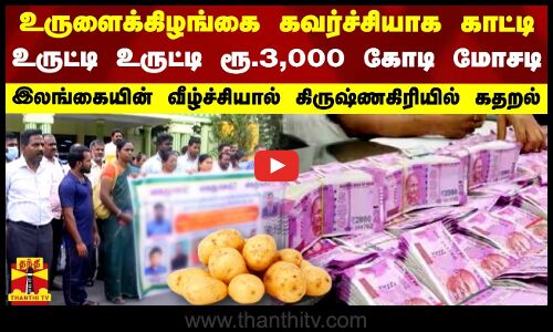 உருளைக்கிழங்கை கவர்ச்சியாக காட்டி உருட்டி உருட்டி ரூ.3,000 கோடி மோசடி - கிருஷ்ணகிரியில் கதறல்
