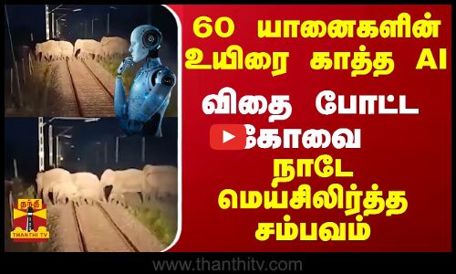60 யானைகளின் உயிரை காத்த AI... நாடே மெய்சிலிர்த்த சம்பவம்... விதை போட்ட கோவை