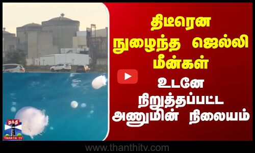 திடீரென நுழைந்த ஜெல்லி மீன்கள் - நிறுத்தப்பட்ட அணுமின் நிலையம்
