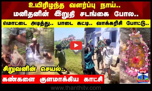 உயிரிழந்த வளர்ப்பு நாய்..மனிதனின் இறுதி சடங்கை போல..மொட்டை அடித்து..கண்களை குளமாக்கிய காட்சி