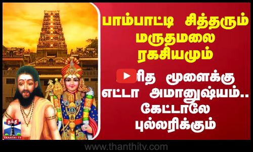 பாம்பாட்டி சித்தரும் மருதமலை முருகன் ரகசியமும்