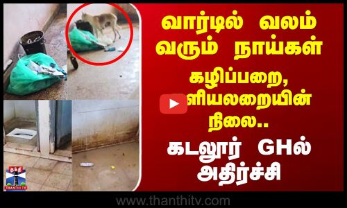 Cuddalore Hospital Video | வார்டில் வலம் வரும் நாய்கள் - கடலூர் GHல் அதிர்ச்சி