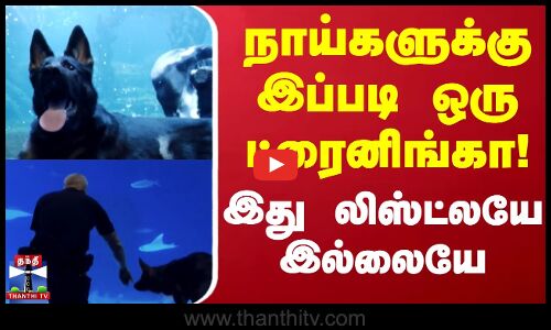 நாய்களுக்கு இப்படி ஒரு ட்ரைனிங்கா! இது லிஸ்ட்லயே இல்லையே