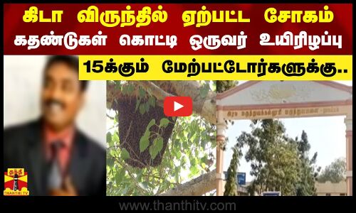கிடா விருந்தில் ஏற்பட்ட சோகம்...கதண்டுகள் கொட்டி ஒருவர் உயிரிழப்பு - 15க்கும் மேற்பட்டோர்களுக்கு..