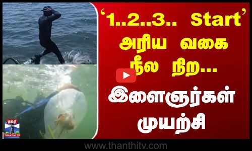 நீல நிற நண்டுகளின் உற்பத்தியை அதிகரிக்க இளைஞர்கள் முயற்சி