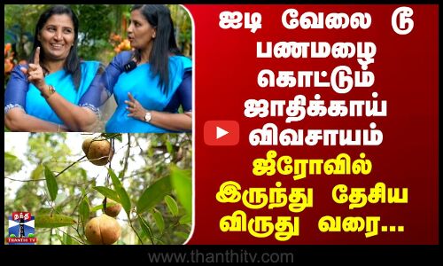 Agriculture | ஐடி வேலை டூ பணமழை கொட்டும் ஜாதிக்காய் விவசாயம் - ஜீரோவில் இருந்து தேசிய விருது வரை...