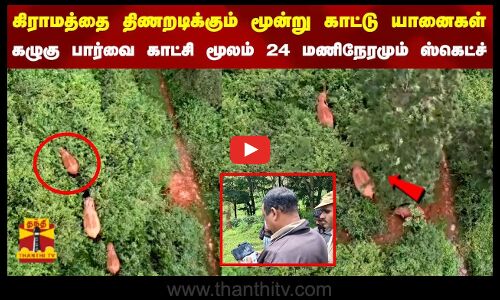 கிராமத்தை திணறடிக்கும் மூன்று காட்டு யானைகள் கழுகு பார்வை காட்சி மூலம் 24 மணி நேரமும் ஸ்கெட்ச் drone