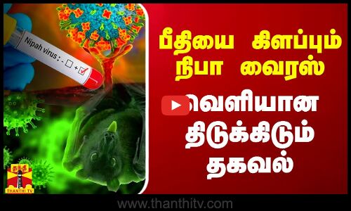 பீதியை கிளப்பும் நிபா வைரஸ்.. வெளியான திடுக்கிடும் தகவல் | Nipah Virus | Kerala